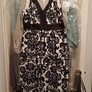 Ann Taylor Loft dress